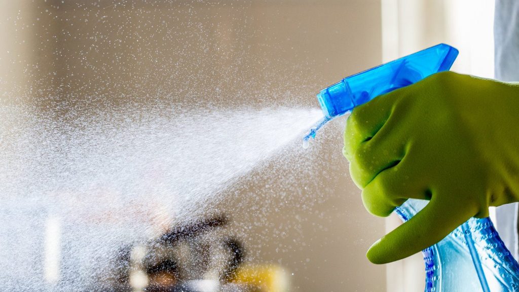 Mould & Mildew - Prevention or Removal - Earnest Property Agents